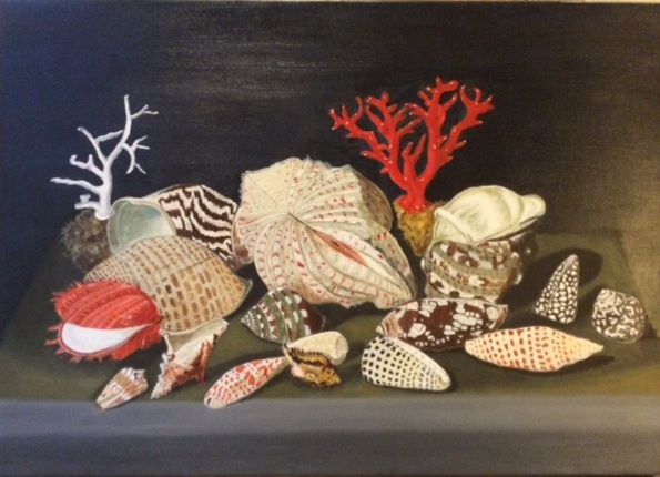 Nature morte aux coquillages et au corail