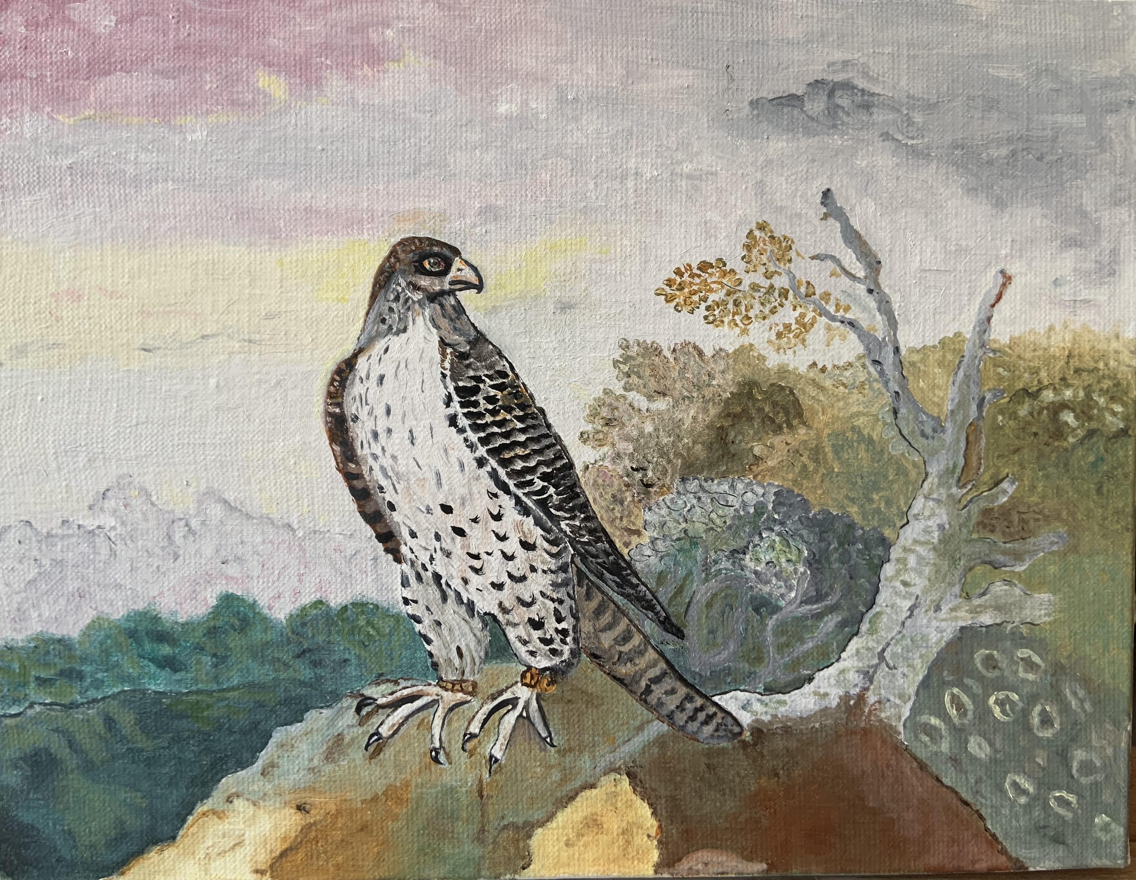 Vautour